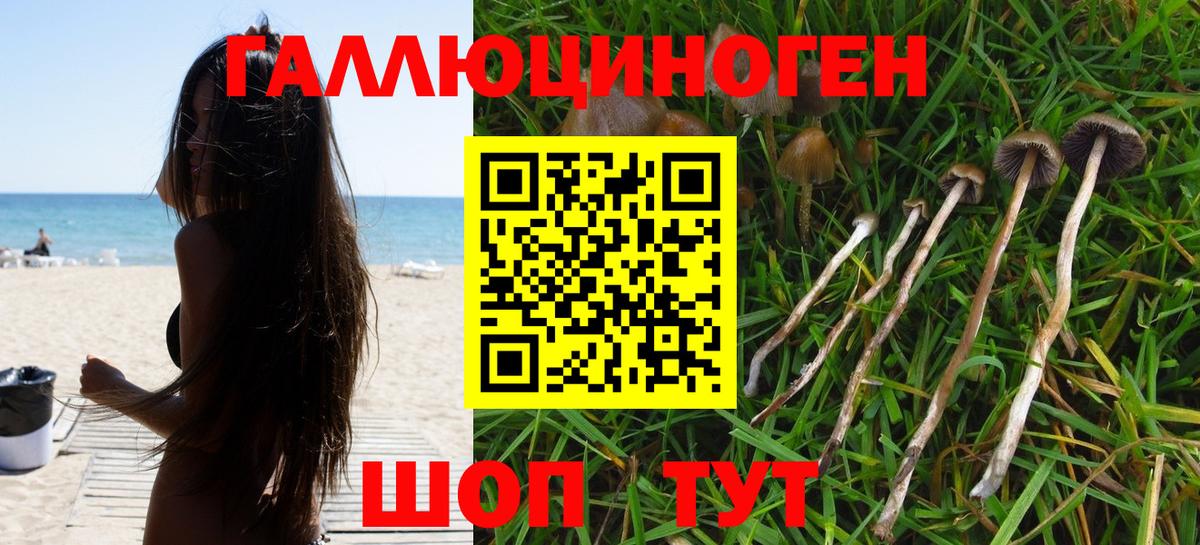 Псилоцибиновые грибы GOLDEN TEACHER  Вход с VPN  Новороссийск 