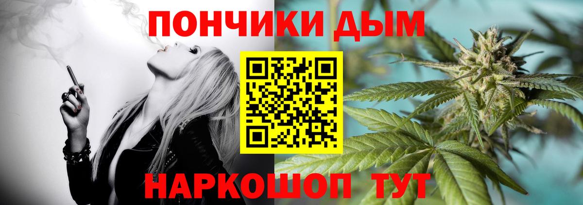Бошки Шишки ГИДРОПОН  Марихуана семена  Вход с VPN  Конопля AK-47  Новороссийск  Бошки Шишки сатива 